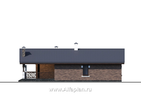 «Родия» - проект одноэтажного дома, 2 спальни, с террасой и двускатной крышей, в скандинавском стиле - превью фасада дома
