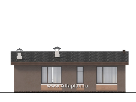«Талисман» - проект одноэтажного дома с террасой, с односкатной кровлей,  2 спальни - превью фасада дома