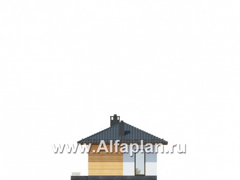 Проекты домов Альфаплан - Одноэтажный загородный дом - превью фасада №2