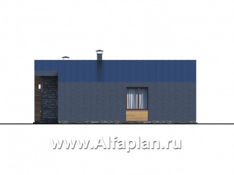 «Альфа» - проект одноэтажного каркасного дома, с сауной и с террасой, в стиле барнхаус - превью фасада дома