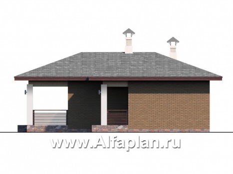 Проекты домов Альфаплан - Баня с небольшим бассейном и террасой - превью фасада №2