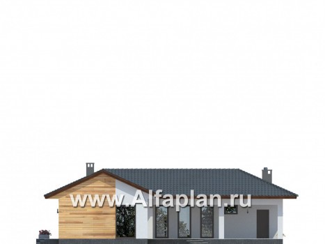 Проекты домов Альфаплан - Одноэтажный дом для углового участка - превью фасада №4